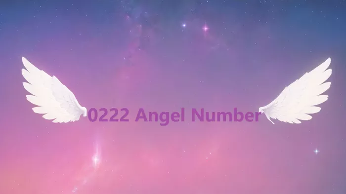 Everything You Need To Know About 0222 Angel Number Meaning ...